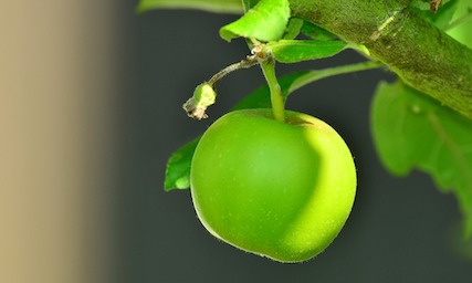 green-apple-blog-fabio-gobbato-consulente-banca